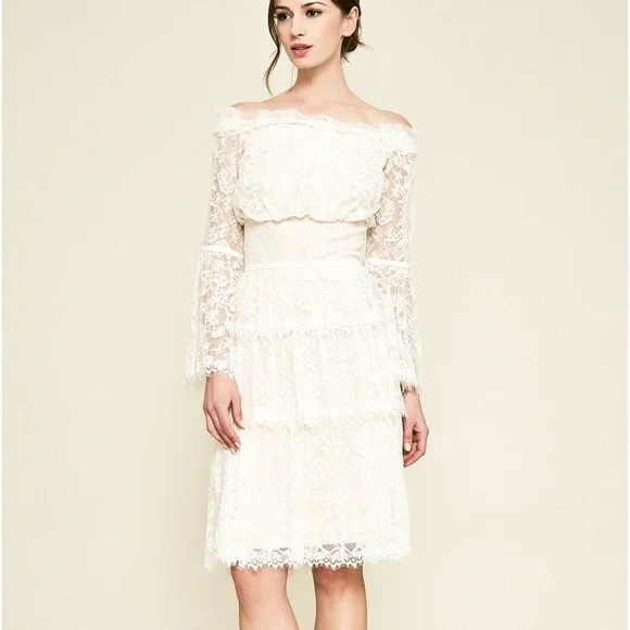 Tadashi Shoji Jacquin off shoulder lace dress size 10 - Picture 1 of 10